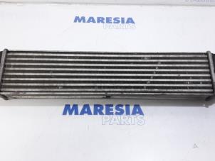 Used Intercooler Fiat Doblo Cargo (263) 1.3 MJ 16V DPF Euro 5 Price € 42,35 Inclusive VAT offered by Maresia Parts
