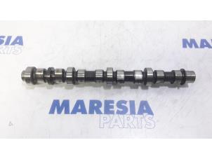 Used Camshaft Renault Trafic New (FL) 1.9 dCi 100 16V Price € 60,50 Inclusive VAT offered by Maresia Parts