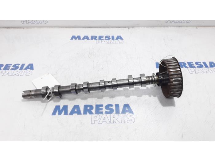 Usagé Arbre à cames Renault Modus/Grand Modus (JP) 1.4 16V Prix € 50,00 Règlement à la marge proposé par Maresia Parts