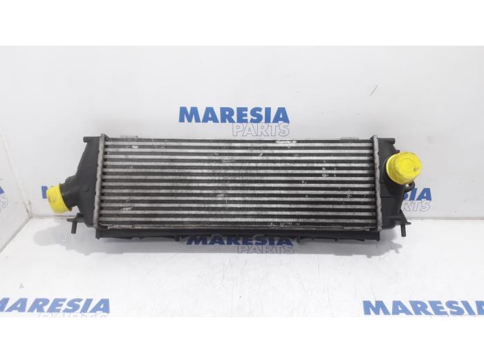 Usagé Intercooler Renault Trafic New (FL) 2.0 dCi 16V 115 Prix € 30,25 Prix TTC proposé par Maresia Parts