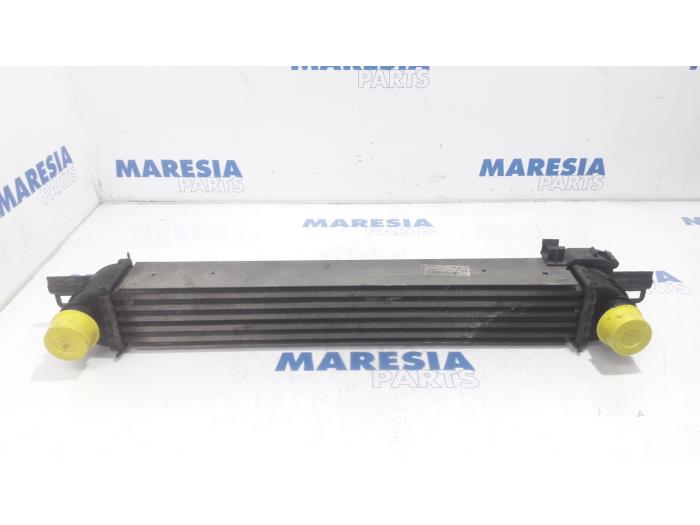 Usagé Echangeur air (Intercooler) Peugeot Bipper (AA) 1.4 HDi Prix € 24,00 Règlement à la marge proposé par Maresia Parts
