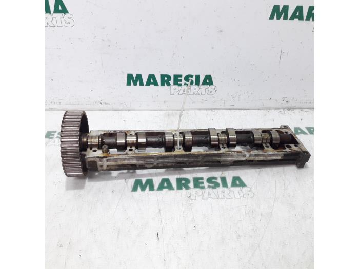 Usagé Arbre à cames Peugeot 406 (8B) 1.8 16V Prix € 50,00 Règlement à la marge proposé par Maresia Parts
