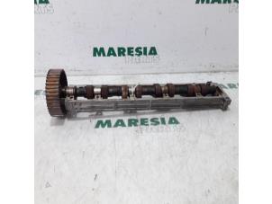 Used Camshaft Peugeot 406 (8B) 1.8 16V Price € 50,00 Margin scheme offered by Maresia Parts