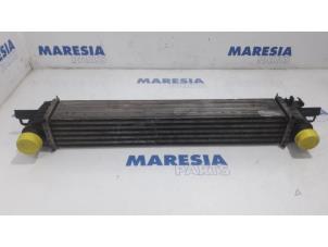 Used Intercooler Fiat Fiorino (225) 1.3 D 16V Multijet Price € 54,45 Inclusive VAT offered by Maresia Parts