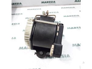 Used Front seatbelt, right Citroen C3 (FC/FL/FT) 1.4 HDi Price € 35,00 Margin scheme offered by Maresia Parts