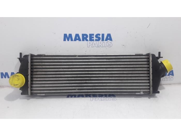 Usados Intercooler Renault Trafic New (FL) 2.0 dCi 16V 115 Precio € 50,00 Norma de margen ofrecido por Maresia Parts