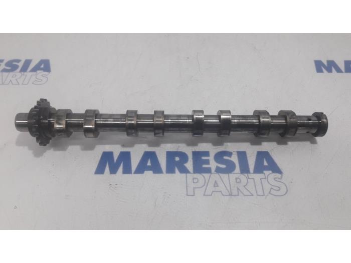 Usagé Arbre à cames Peugeot 207/207+ (WA/WC/WM) 1.6 HDi 16V Prix € 75,00 Règlement à la marge proposé par Maresia Parts