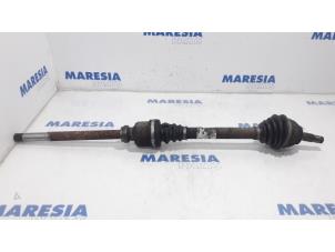Used Front drive shaft, right Citroen Berlingo 1.6 Hdi 75 16V Phase 1 Price € 90,75 Inclusive VAT offered by Maresia Parts