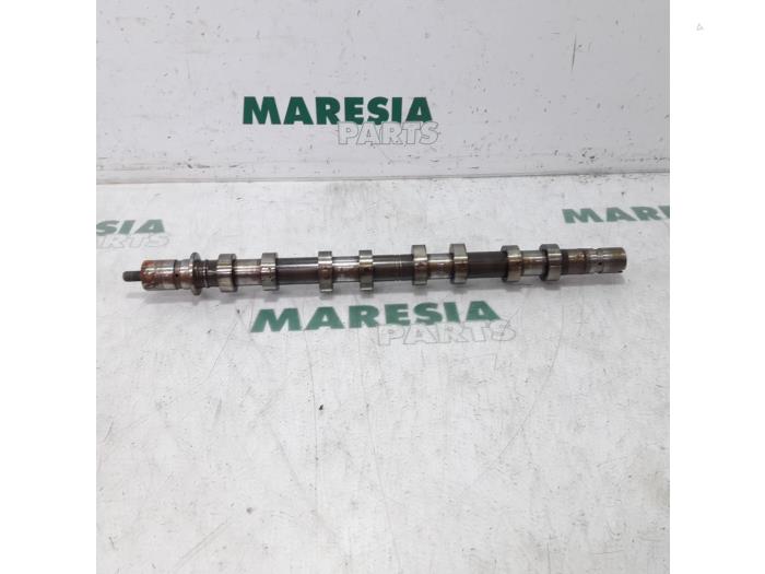Usagé Arbre à cames Renault Laguna II Grandtour (KG) 1.8 16V Prix € 75,00 Règlement à la marge proposé par Maresia Parts
