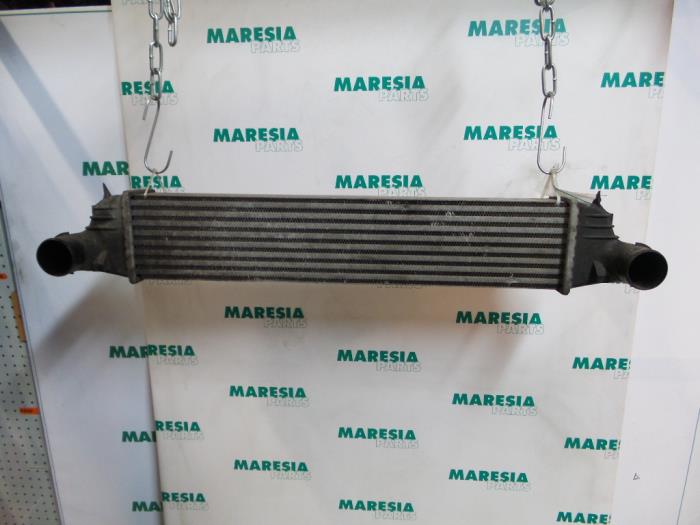 Usagé Intercooler Lancia Thesis (841) 2.4 JTD 20V Autom. Prix € 50,00 Règlement à la marge proposé par Maresia Parts