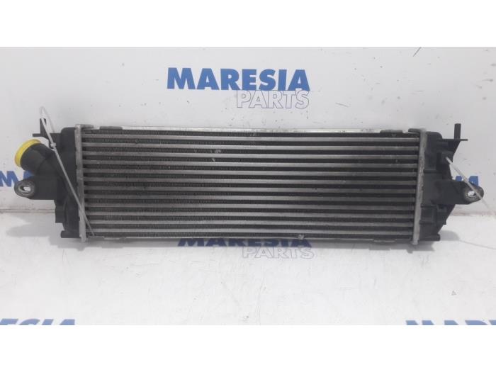 Usagé Intercooler Renault Trafic New (FL) 2.0 dCi 16V 115 Prix € 30,25 Prix TTC proposé par Maresia Parts