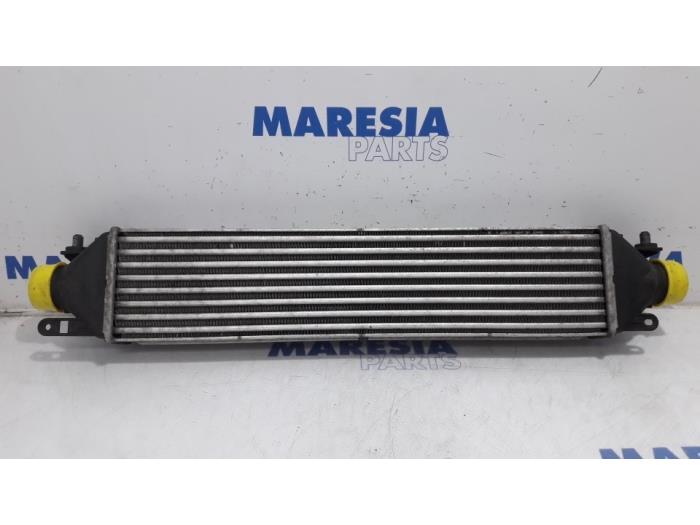 Usados Intercooler Fiat Doblo Cargo (263) 1.3 MJ 16V DPF Euro 5 Precio € 42,35 IVA incluido ofrecido por Maresia Parts