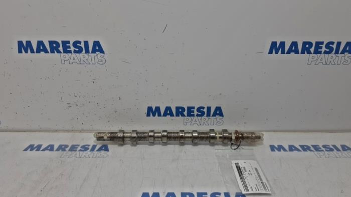 Usagé Arbre à cames Renault Scénic I (JA) 2.0 16V RX4 Prix € 50,00 Règlement à la marge proposé par Maresia Parts