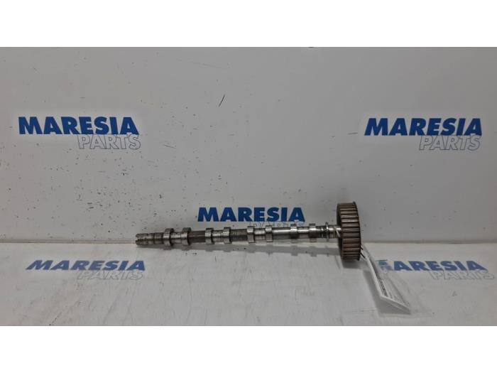 Usagé Arbre à cames Renault Laguna II (BG) 2.0 16V Prix € 60,00 Règlement à la marge proposé par Maresia Parts