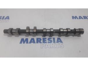 Used Camshaft Peugeot 206 (2A/C/H/J/S) 2.0 GTI 16V Price € 50,00 Margin scheme offered by Maresia Parts