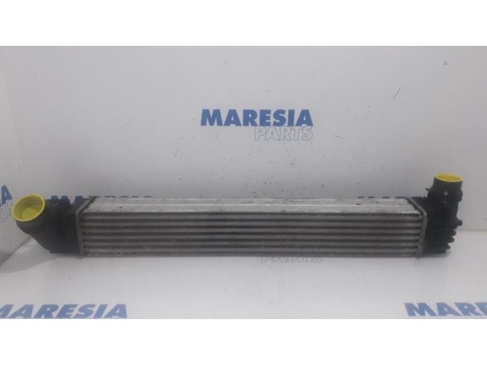 Usagé Intercooler Renault Megane III Grandtour (KZ) 1.5 dCi 110 Prix € 40,00 Règlement à la marge proposé par Maresia Parts