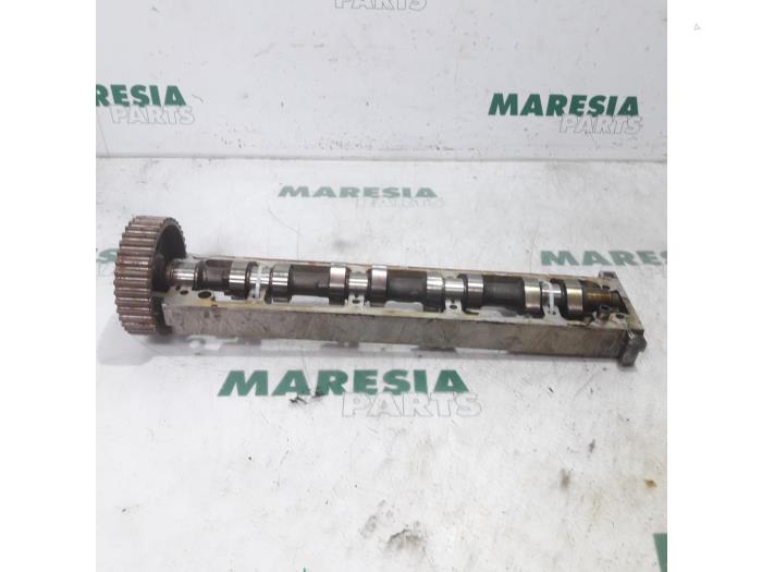 Gebrauchte Nockenwelle Citroen C5 I Berline (DC) 1.8 16V Preis € 50,00 Margenregelung angeboten von Maresia Parts