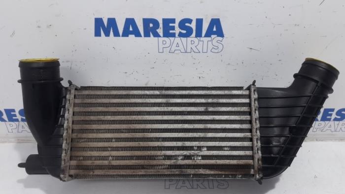Usagé Intercooler Fiat Scudo (270) 2.0 D Multijet Prix € 60,50 Prix TTC proposé par Maresia Parts