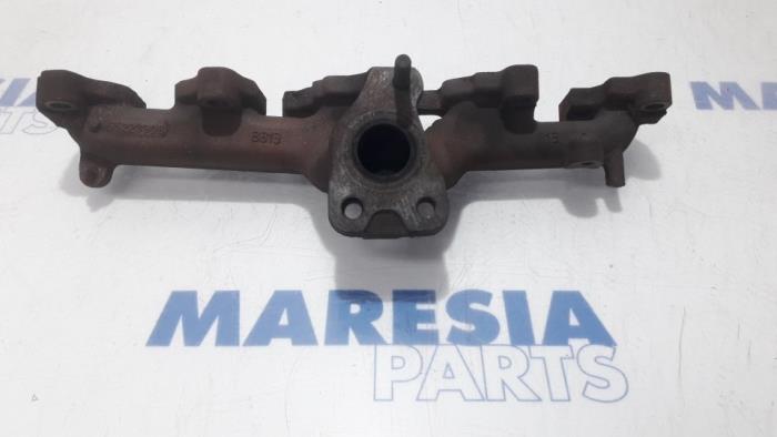 Usados Colector de escape Fiat Doblo Cargo (263) 1.3 D Multijet Precio € 48,40 IVA incluido ofrecido por Maresia Parts