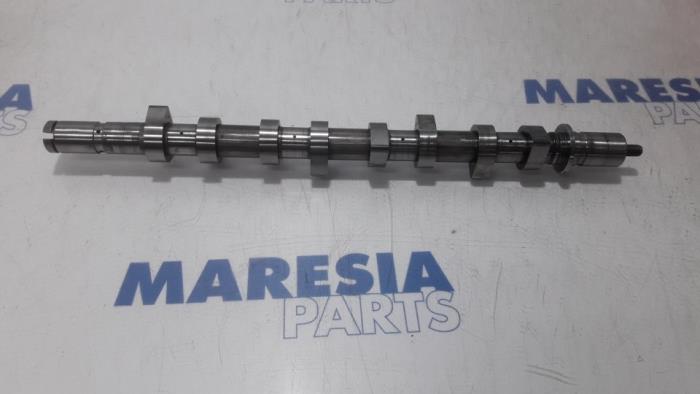 Usagé Arbre à cames Renault Kangoo Express (FC) 1.5 dCi 80 Prix € 105,00 Règlement à la marge proposé par Maresia Parts