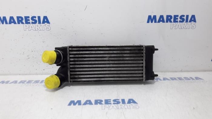 Usados Intercooler Peugeot 5008 I (0A/0E) 1.6 HDiF 16V Precio € 35,00 Norma de margen ofrecido por Maresia Parts