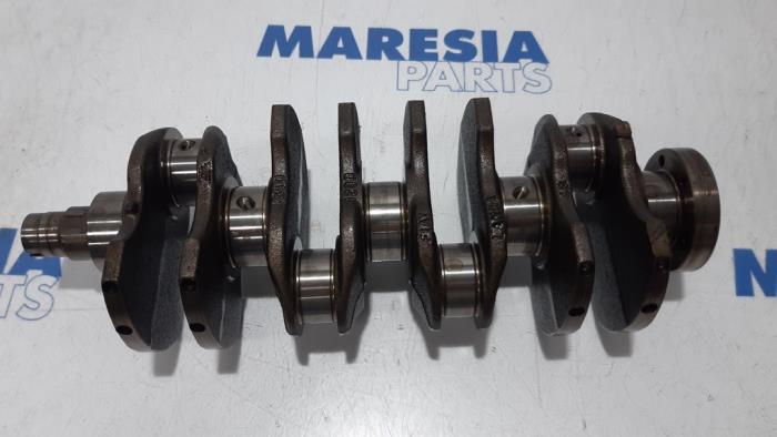 Usagé Vilebrequin Fiat Panda (169) 1.2, Classic Prix € 99,99 Règlement à la marge proposé par Maresia Parts