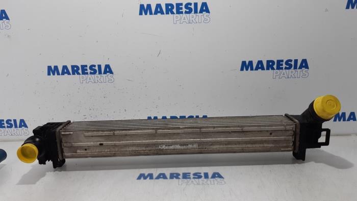 Usados Intercooler Renault Scénic III (JZ) 1.2 16V TCe 130 Precio € 40,00 Norma de margen ofrecido por Maresia Parts