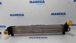 Used Intercooler Renault Scénic III (JZ) 1.2 16V TCe 130 Price € 40,00 Margin scheme offered by Maresia Parts