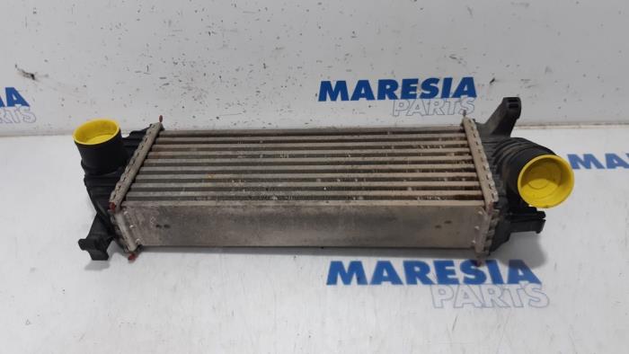 Usagé Intercooler Renault Kangoo Express (FW) 1.5 dCi 85 Prix € 54,45 Prix TTC proposé par Maresia Parts