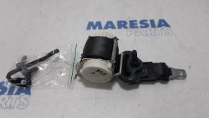 Used Rear seatbelt, centre Renault Clio III (SR) 1.5 dCi 70 Price € 20,00 Margin scheme offered by Maresia Parts