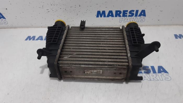 Usagé Intercooler Renault Clio III (SR) 1.5 dCi 70 Prix € 50,00 Règlement à la marge proposé par Maresia Parts