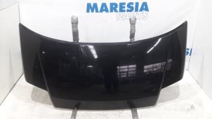 Used Bonnet Citroen C2 (JM) 1.4 HDI Price € 75,00 Margin scheme offered by Maresia Parts