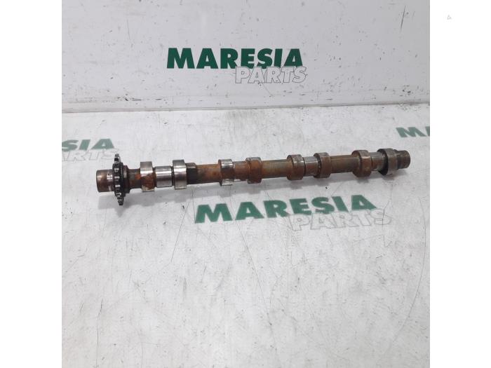 Usagé Arbre à cames Peugeot 807 2.2 16V Prix € 65,00 Règlement à la marge proposé par Maresia Parts