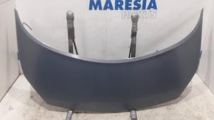 Używane Maska Renault Grand Scénic II (JM) 2.0 16V Cena € 75,00 Procedura marży oferowane przez Maresia Parts