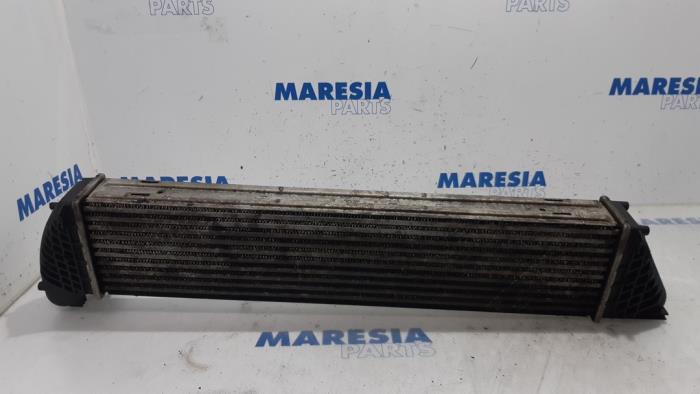 Usagé Intercooler Renault Espace (JK) 2.0 dCi 16V 175 FAP Prix € 50,00 Règlement à la marge proposé par Maresia Parts