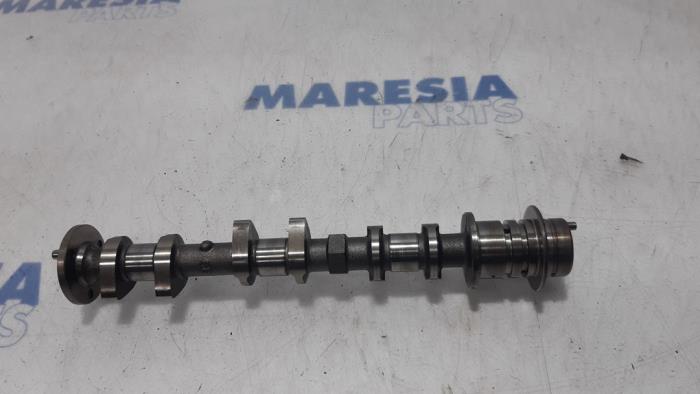 Usagé Arbre à cames Peugeot 107 1.0 12V Prix € 75,00 Règlement à la marge proposé par Maresia Parts