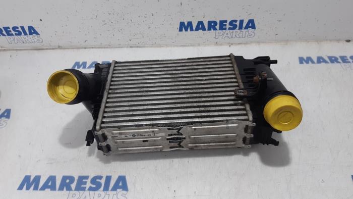 Usados Intercooler Renault Espace (RFCJ) 1.6 Energy dCi 160 Precio € 80,00 Norma de margen ofrecido por Maresia Parts
