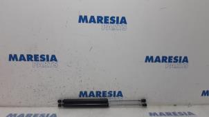 Used Set of tailgate gas struts Renault Clio III (BR/CR) 1.2 16V 75 Price € 25,00 Margin scheme offered by Maresia Parts