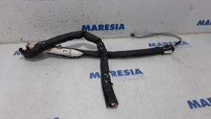 Used Roof curtain airbag, left Citroen C4 Picasso (3D/3E) 1.6 16V VTi 120 Price € 80,00 Margin scheme offered by Maresia Parts