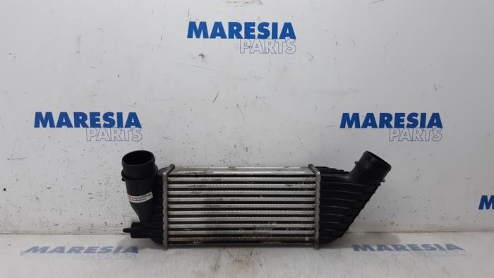 Usados Intercooler Fiat Scudo (270) 2.0 D Multijet Precio € 60,50 IVA incluido ofrecido por Maresia Parts
