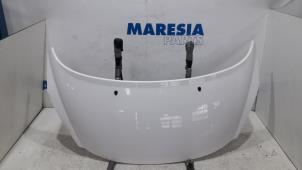 Używane Maska Peugeot 207 CC (WB) 1.6 HDiF 16V Cena € 75,00 Procedura marży oferowane przez Maresia Parts