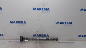 Used Camshaft Renault Master III (FD/HD) 2.5 dCi 16V Price € 90,75 Inclusive VAT offered by Maresia Parts