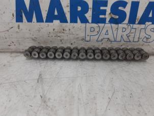 Used Tappet Citroen Berlingo 1.6 Hdi 75 16V Phase 1 Price € 60,50 Inclusive VAT offered by Maresia Parts