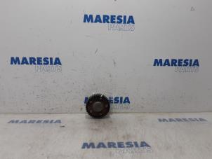 Used Camshaft sprocket Peugeot 307 CC (3B) 2.0 16V Price € 85,00 Margin scheme offered by Maresia Parts