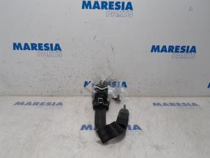 Używane Pas bezpieczenstwa prawy tyl Citroen C4 Picasso (3D/3E) 1.6 BlueHDI 115 Cena € 39,99 Procedura marży oferowane przez Maresia Parts