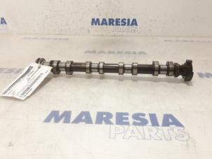 Used Camshaft Peugeot 207 CC (WB) 1.6 16V Price € 99,00 Margin scheme offered by Maresia Parts