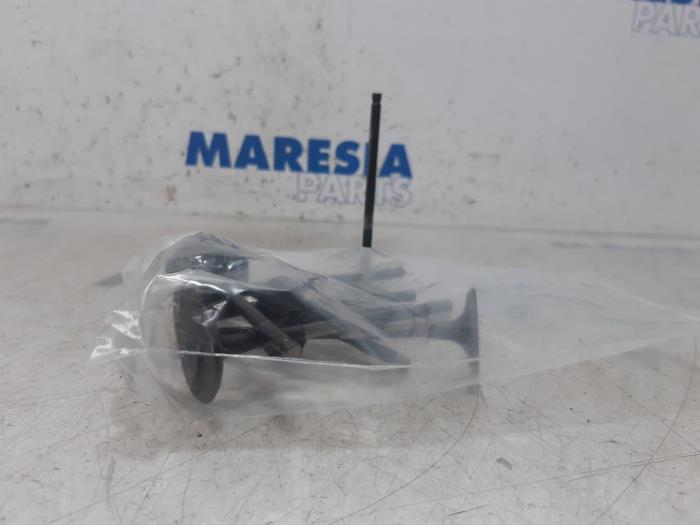 Gebrauchte Einlassventil Renault Megane III Grandtour (KZ) 1.4 16V TCe 130 Preis € 40,00 Margenregelung angeboten von Maresia Parts