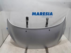 Używane Maska Peugeot 207 CC (WB) 1.6 16V Cena € 75,00 Procedura marży oferowane przez Maresia Parts