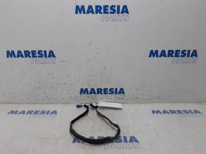 Używane Antena Renault Megane IV (RFBB) 1.2 Energy TCE 130 Cena € 20,00 Procedura marży oferowane przez Maresia Parts