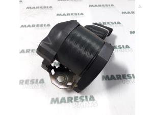 Używane Pas bezpieczenstwa lewy tyl Alfa Romeo 146 (930B) 1.9 TD Cena € 25,00 Procedura marży oferowane przez Maresia Parts